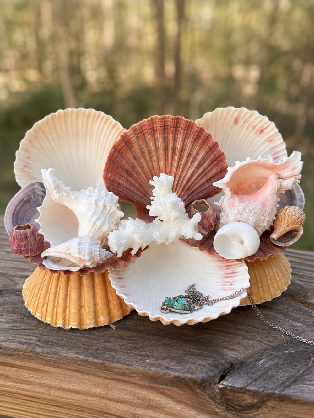 Seashell Art | Trinket Dish